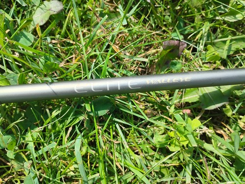 Fenwick elite tech walleye - elite,