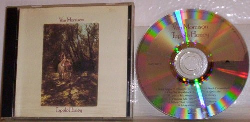 Morrison van tupelo honey - van,