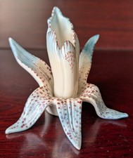 Porcelain Tulip Iris. Ernst