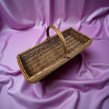 Beautiful Shallow Flower