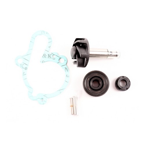 Level water pump repair kit - level,