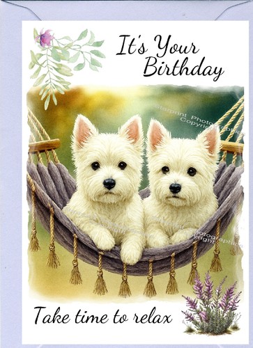 West highland white terrier - west, /