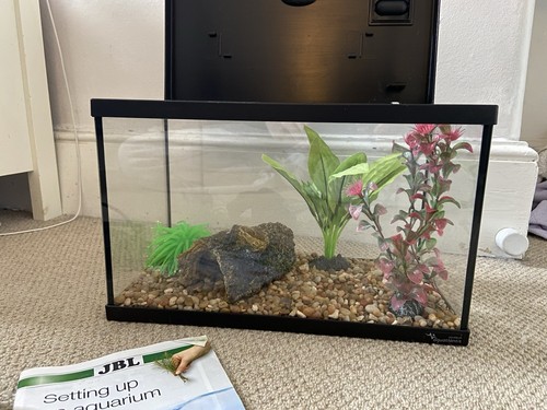 Litre black fish - fish, with