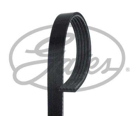 5pk1123 gates ribbed belt - gates, v-ribbed