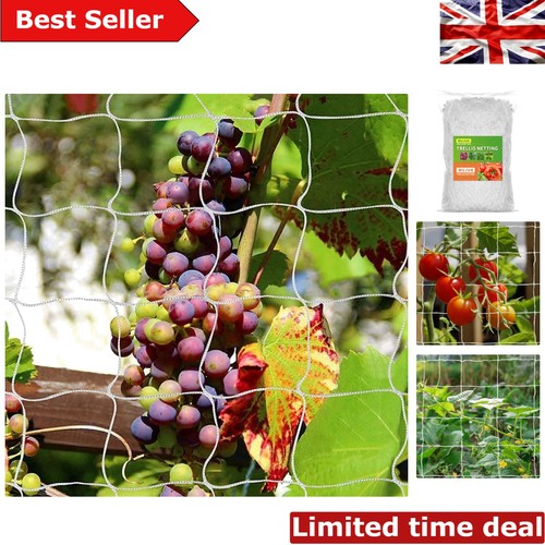 Durable white trellis - white,