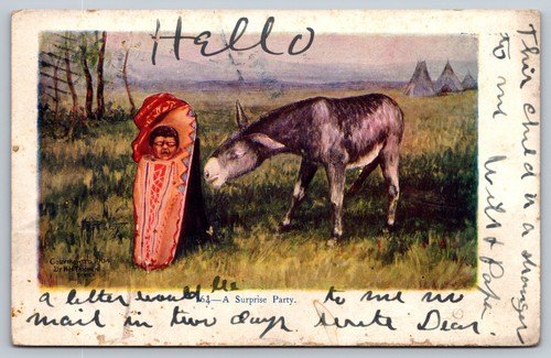 Papoose native indian baby - papoose,