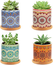 Succulent Plant Pot with
