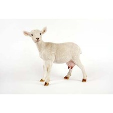 Garden Creations Standing