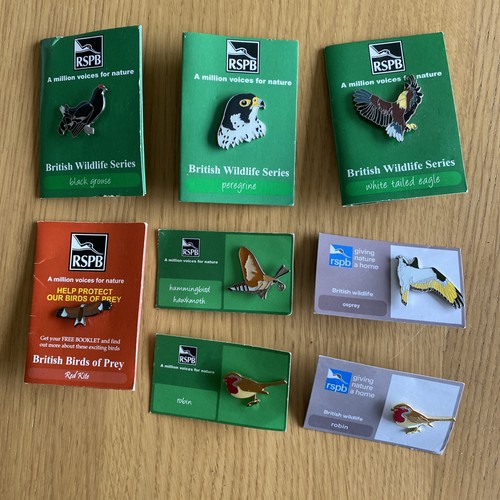 Rspb pin badges - rspb, x8