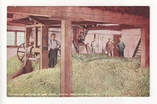 Hop-picking - Interior of Oast