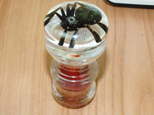 Gear shift knob - gear,
