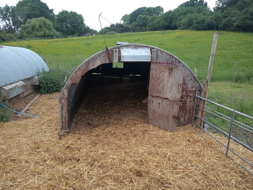 Pig arc - pig,