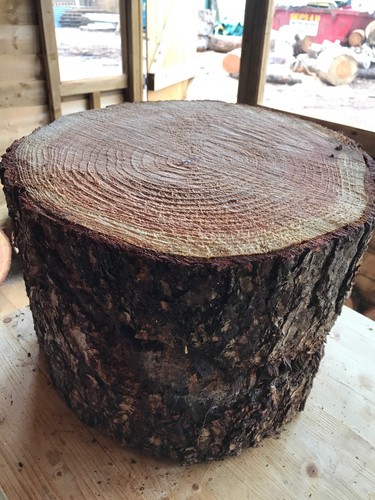 Large rustic log - large,