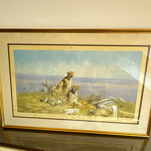 David shepherd signed limited - shepherd,