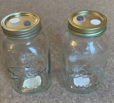 Mushroom Grain Jar 2 x 1000ml mason jar