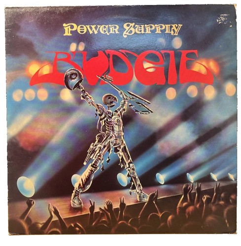 Budgie power supply vinyl - power,