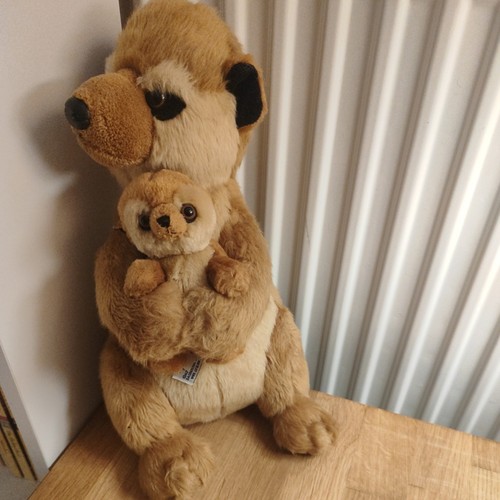 Aurora meerkat brown mum - meerkat,