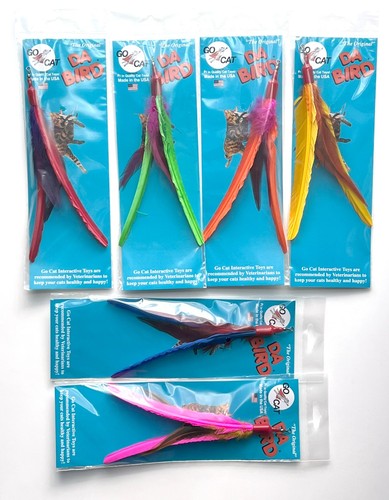 Dyed turkey feather - turkey, da