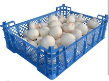 ✅✅ 1 to 10 Plastic Stackable Storage Tray, Crate, Box - Vegetable Box, DIY