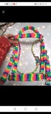 Rainbow Bridle