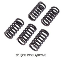 CLUTCH SPRINGS ZF HONDA CBR