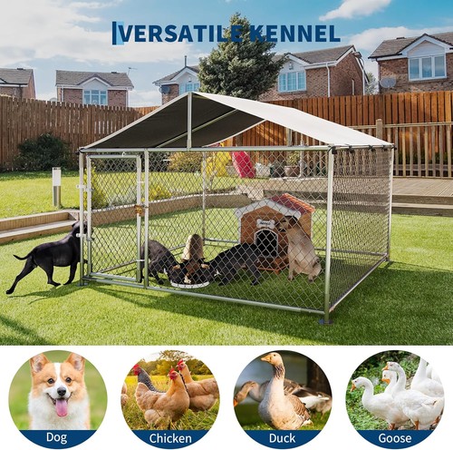 Outdoor dog kennel - outdoor,