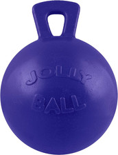 10" Jolly Ball Horse Toy