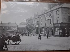Unused Vintage Postcard