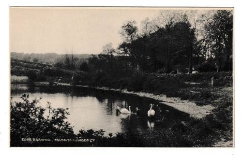Old postcard swanpool - postcard,