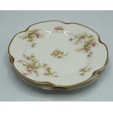 Antique Haviland Limoges