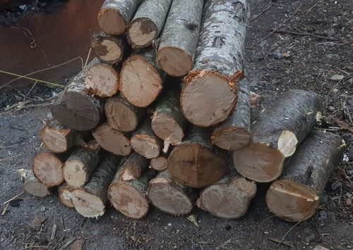 2kg firewood natural hardwood - natural,