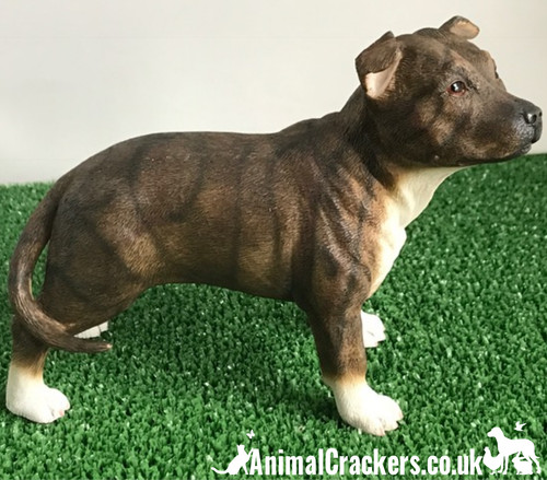 Brown staffordshire bull - brown,
