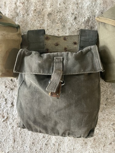Vintage post war jungle - 1,