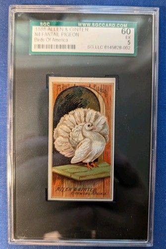 1888 allen ginter n4 fantail - &,