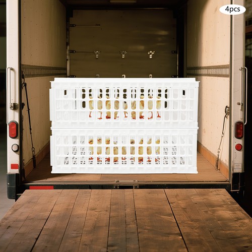 Pcs plastic poultry - plastic,