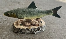 Asp - The Anglers Showcase Collection - Danbury Fishing Angling (Not A Book)