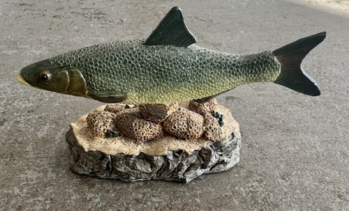 Asp the anglers showcase - asp,
