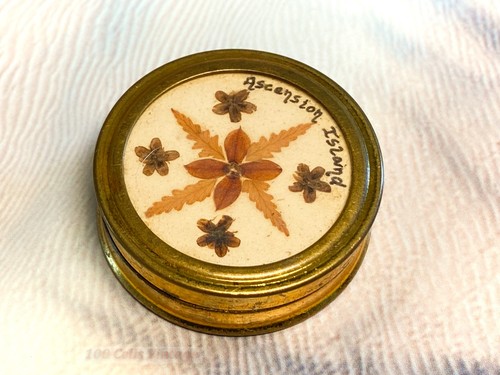 Pressed flowers round gold - flowers-round,