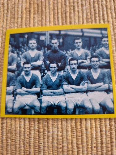 Manchester united panini - manchester,