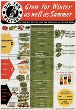 Vintage British War Poster WW2 Dig For Victory Grow Vegetables Gardening WB8