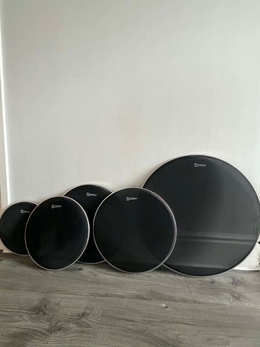 Premier mesh drum heads - drum, 5