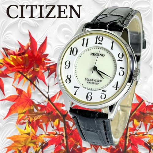 Citizen reguno solar - reguno,