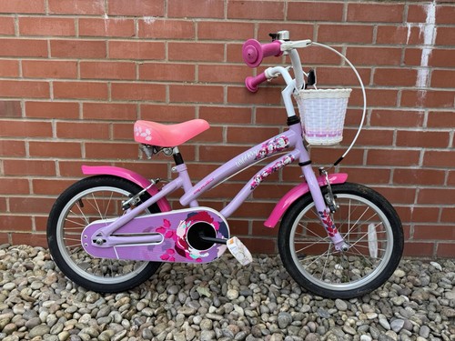 Apollo wild rose kids - wild,