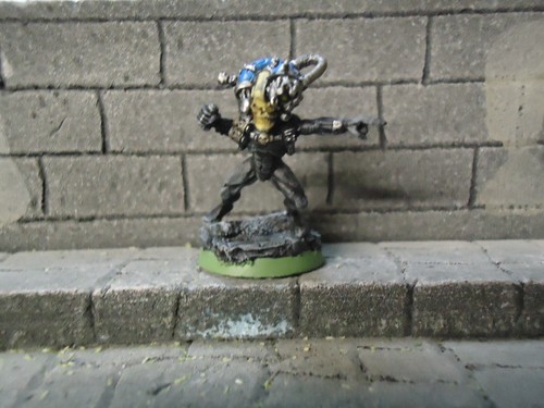Imperial agents culexus - imperial,