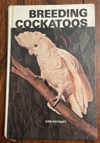 Breeding cockatoos anne - breeding,