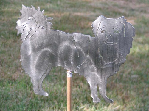 Tibetan spaniel yard - tibetan,