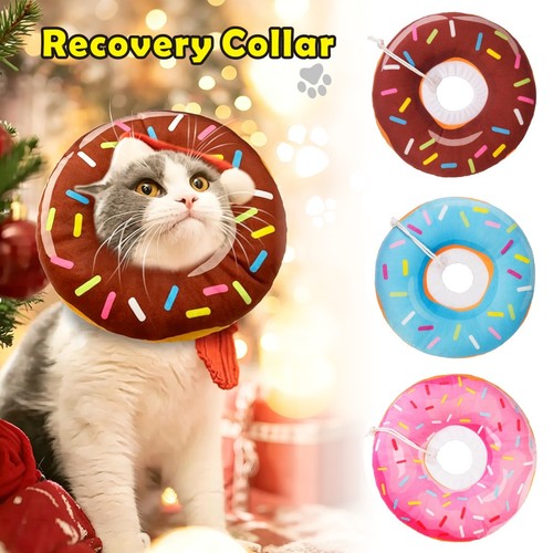 Cat protective collar - cat,
