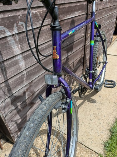 Raleigh ascender men - ascender, men's
