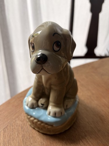 Wade bengo boxer dog money - money, box
