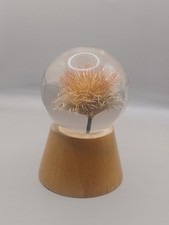 Large Vintage Resin Hafod Grange Paperweight Encapsulated Flower Head 90mm Dia